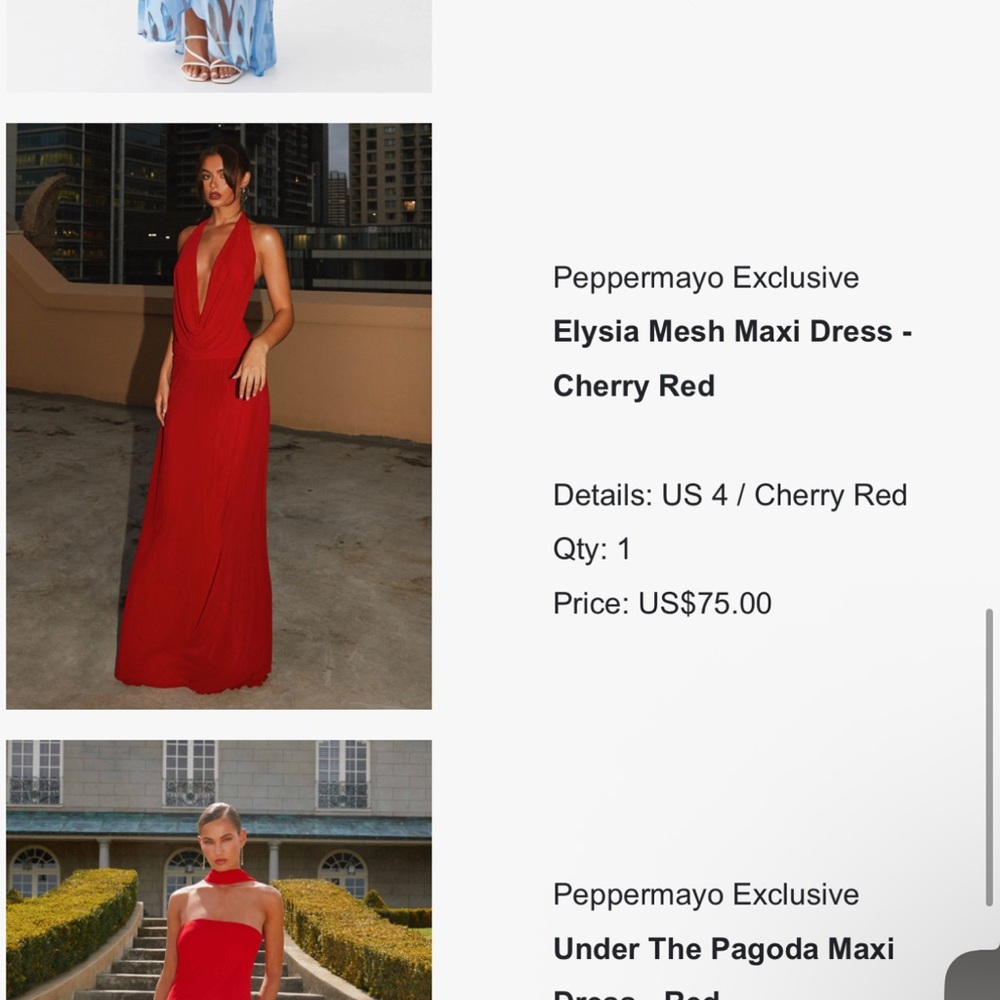 Peppermayo Scarlet Mesh Maxi Dress